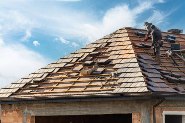 Best Roof Moss and Algae Removal  in Fountainhead Orchard Hills, MD